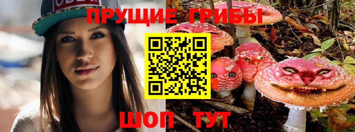 Галлюциногенные грибы ЛСД Амурск